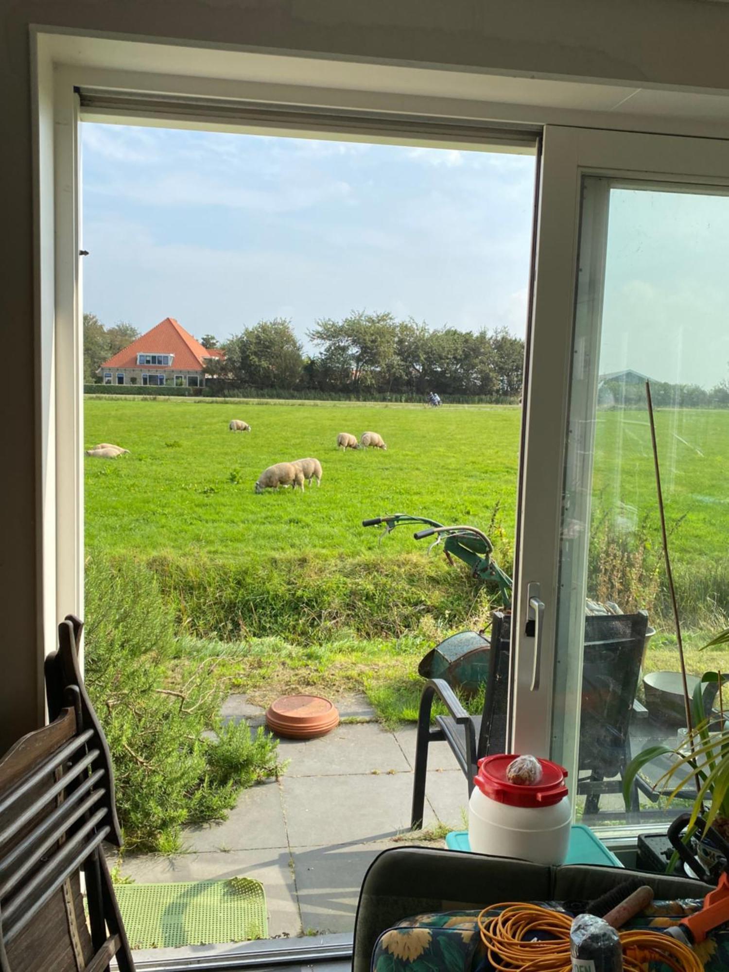 Oomes Huus Haestens And Koffie Den Hoorn  Bagian luar foto
