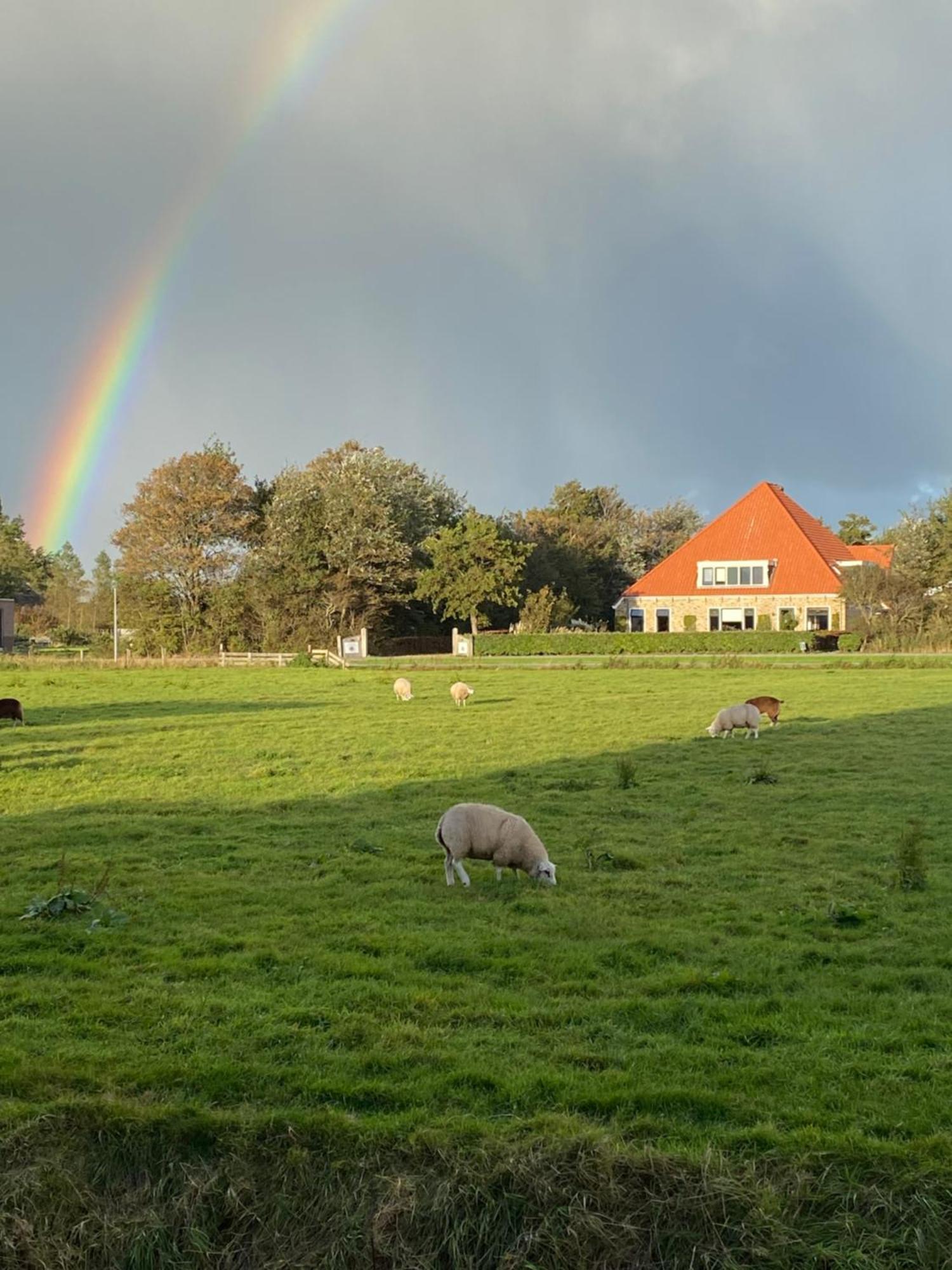 Oomes Huus Haestens And Koffie Den Hoorn  Bagian luar foto
