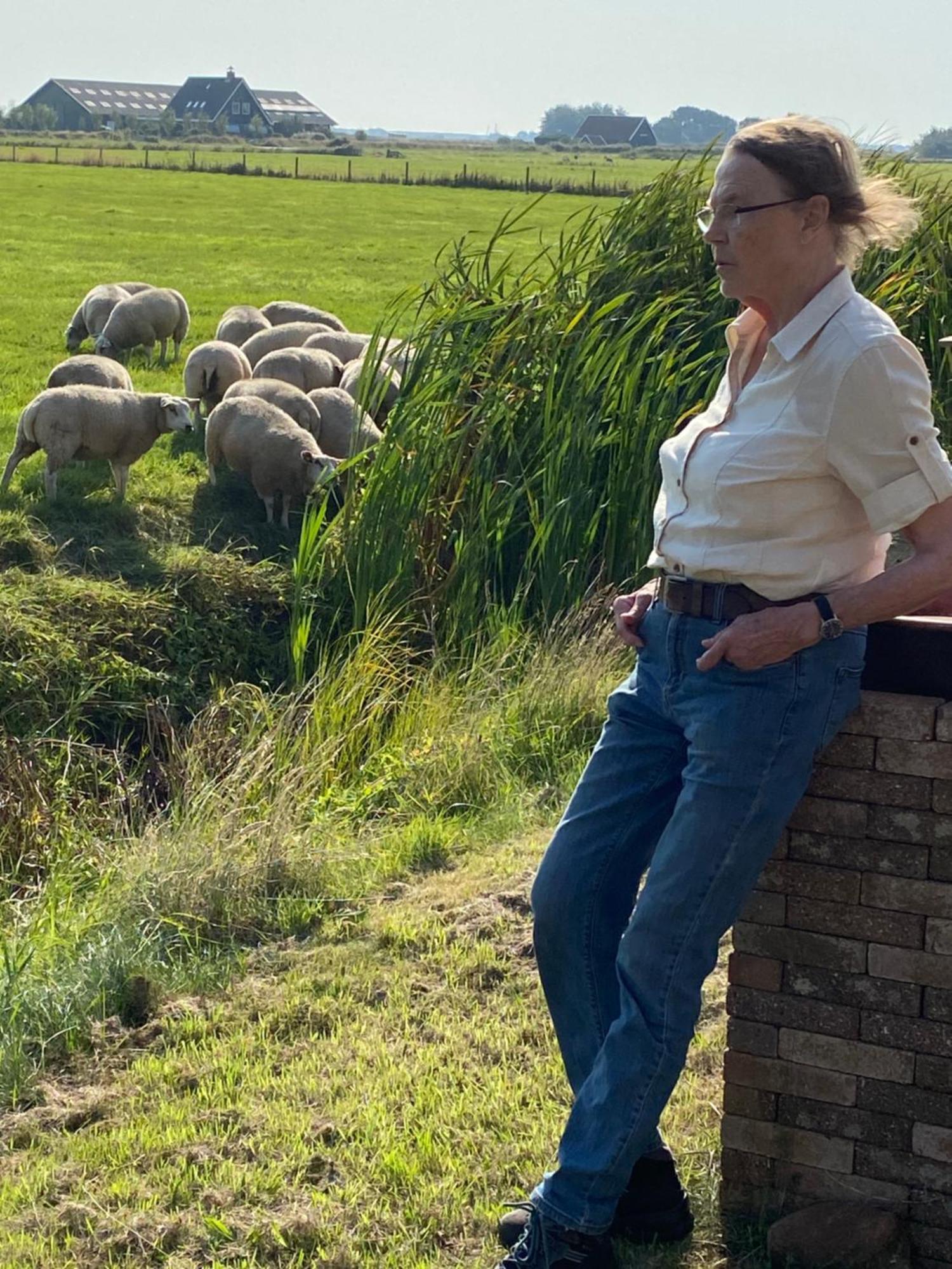 Oomes Huus Haestens And Koffie Den Hoorn  Bagian luar foto