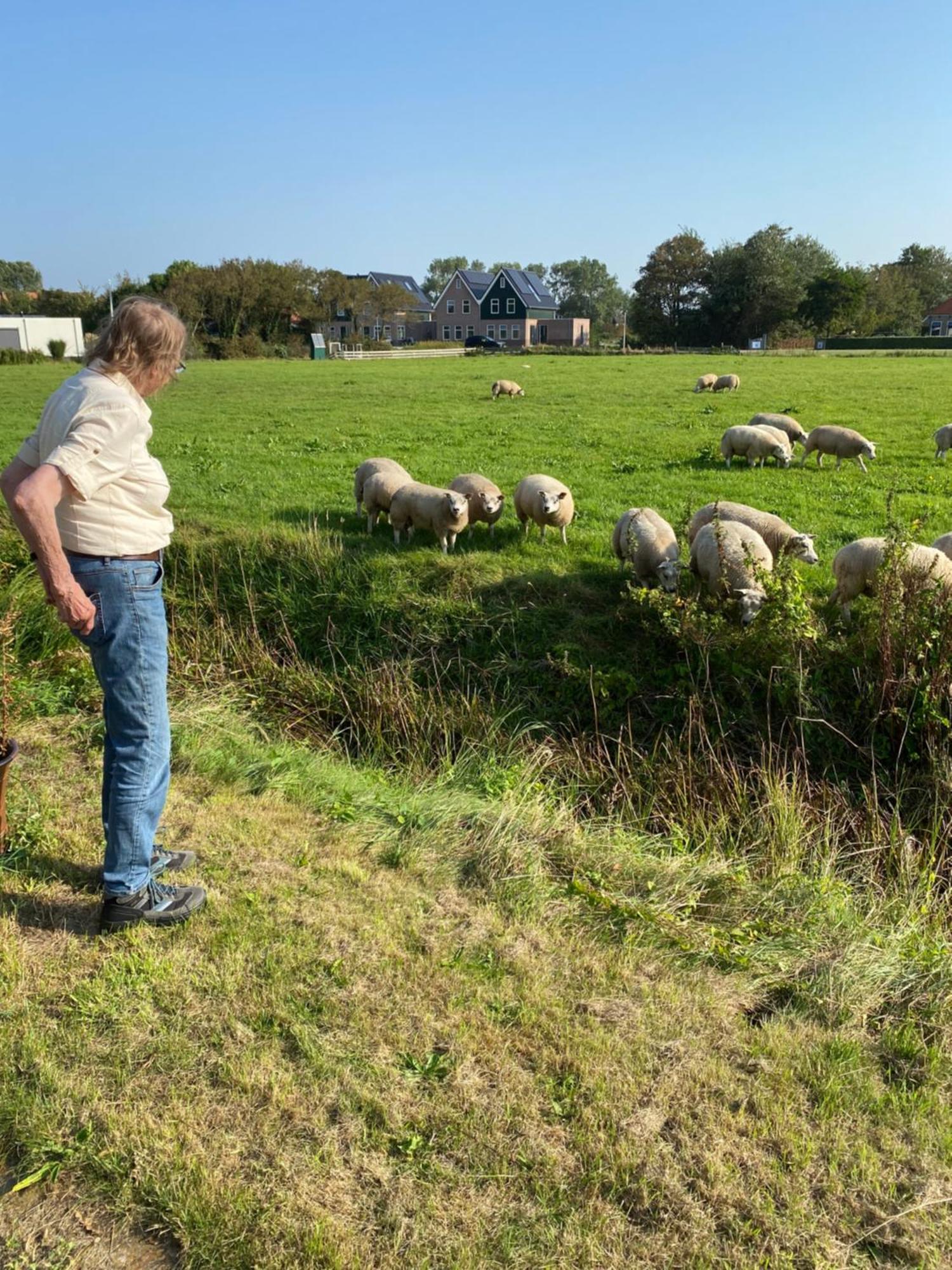 Oomes Huus Haestens And Koffie Den Hoorn  Bagian luar foto