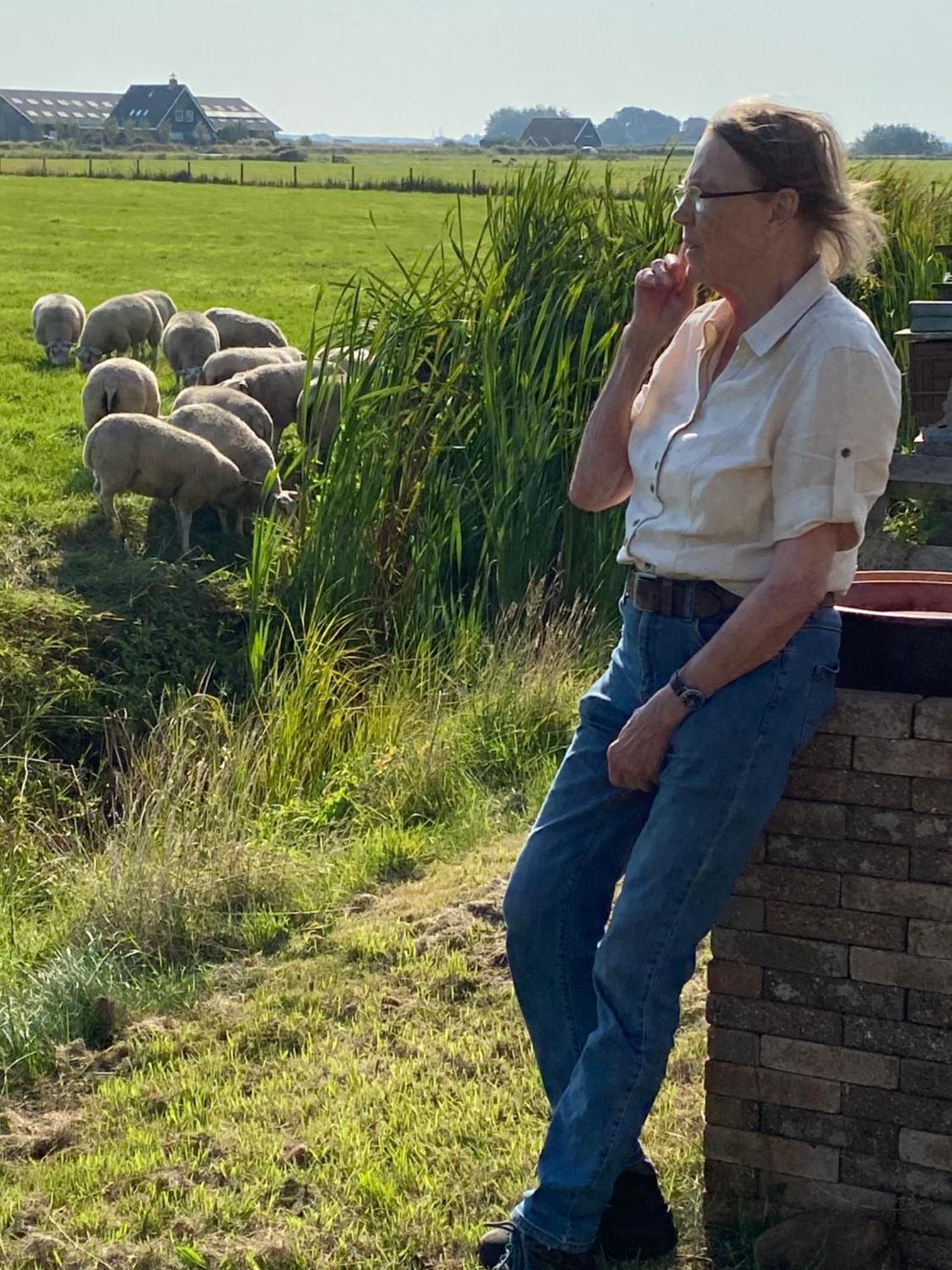 Oomes Huus Haestens And Koffie Den Hoorn  Bagian luar foto