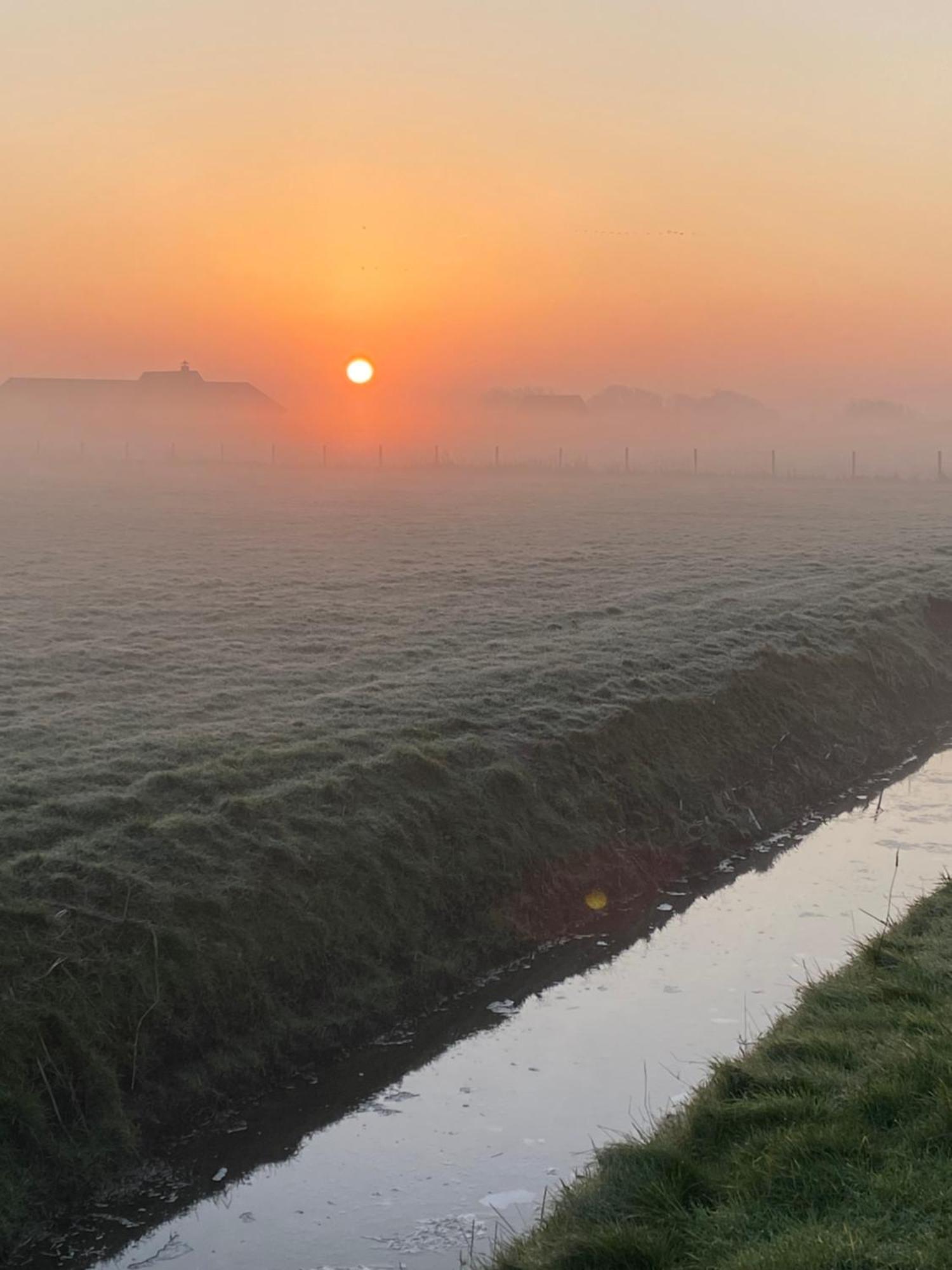 Oomes Huus Haestens And Koffie Den Hoorn  Bagian luar foto