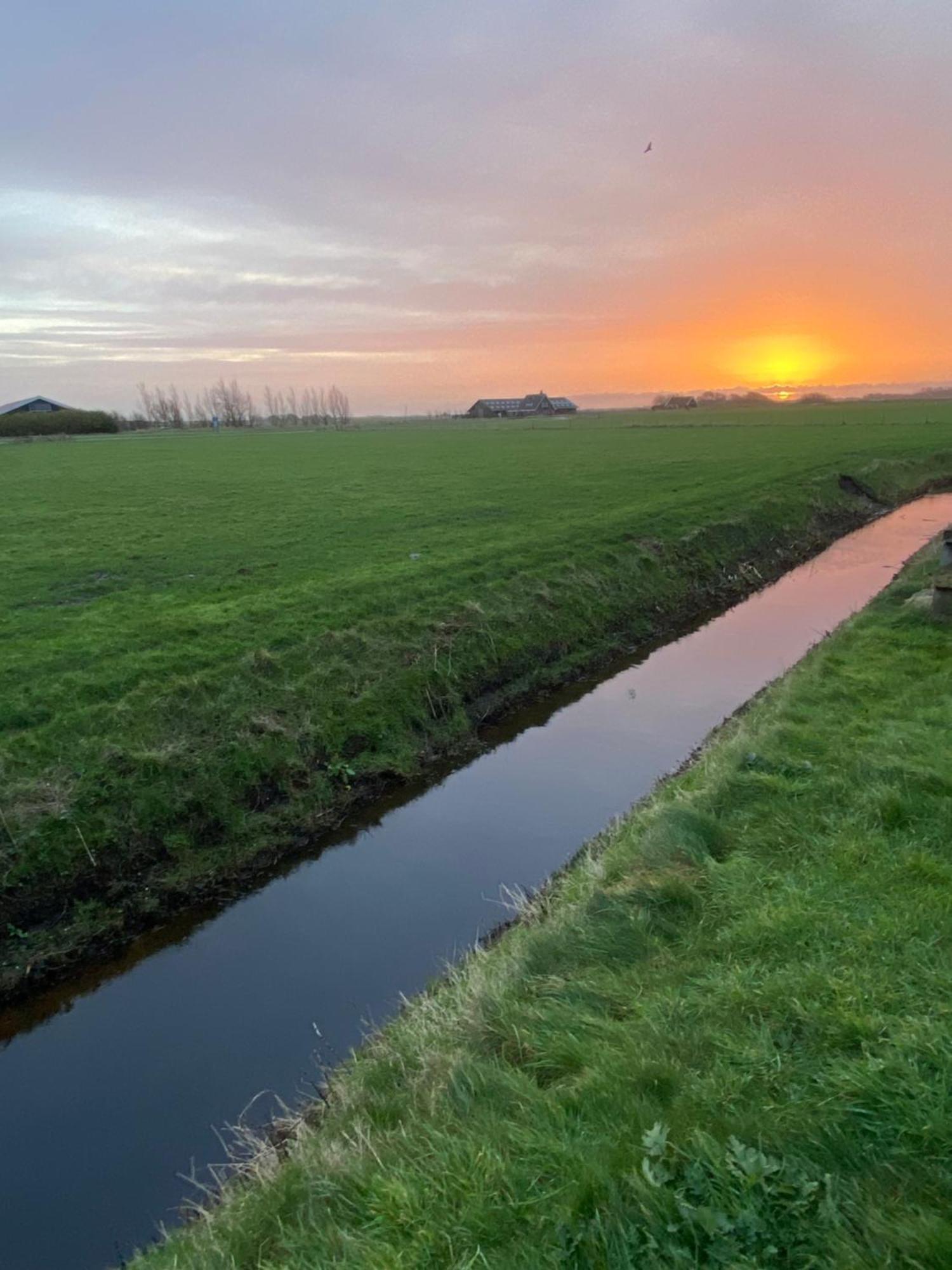 Oomes Huus Haestens And Koffie Den Hoorn  Bagian luar foto